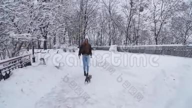 约克和屋主在户外系着皮带走路。 约克郡的一只小猎犬和女孩在一个白雪覆盖的冬天公园里奔跑。 慢慢
